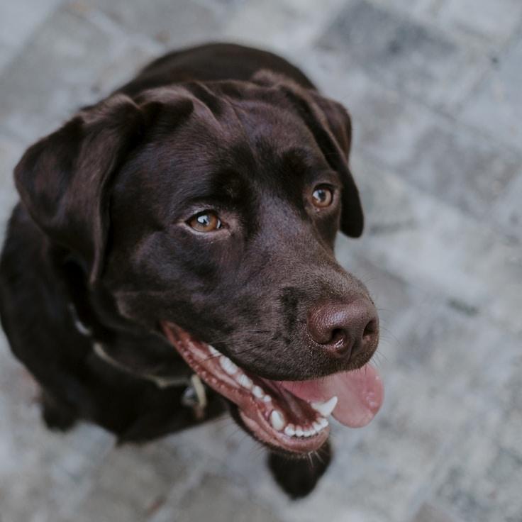 Ravi Deshmukh, Client Relations Director, discussing corporate gifting strategy with business clients